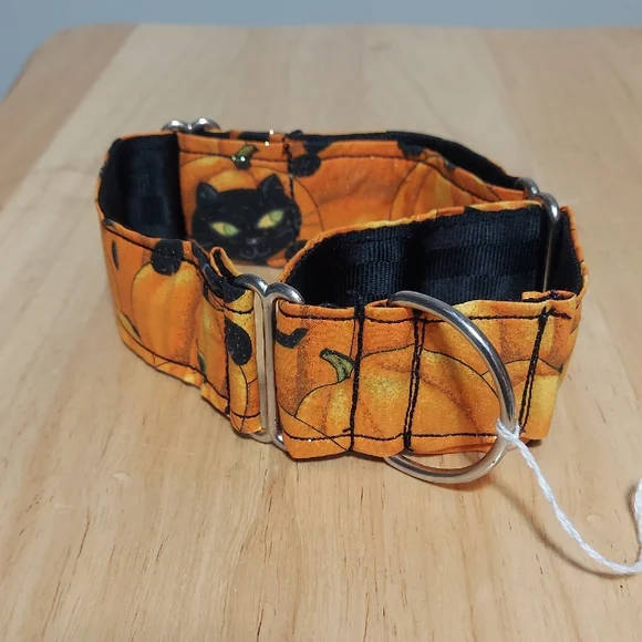 Halloween Pumpkin Dog Collar - Picture 1 of 4